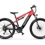 DUOTTS E29 Electric Bike Image 3