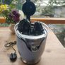 Citrus juicer Image 3