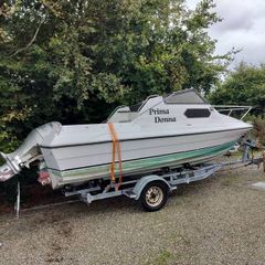 picton royal 19ft boat