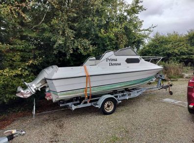 picton royal 19ft boat