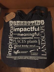 Talented Denim Carrier Bag NEW