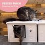 Cat House For Indoor and Outdoor Use - Weatherproof and Portable - With XL Entrance (22 x 26 cm) - Dark Grey Image 8