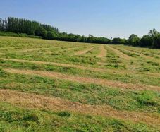 Silage bales