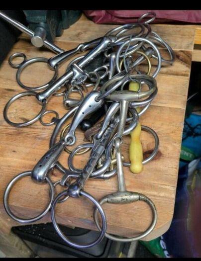 equestrian bridles