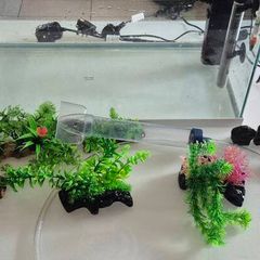 Fish Tank