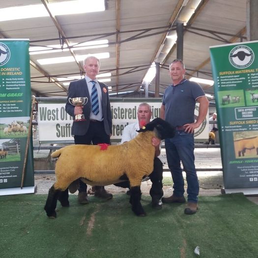 Ballina October Ram Sale