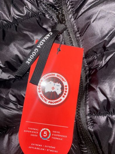 canada goose wyndm