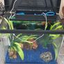 aquarium Image 2