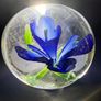 Glass Paperweight - Blue Crocus Flower Image 2