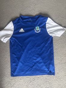 Home Farm Training Jersey and shorts