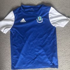 Home Farm Training Jersey and shorts