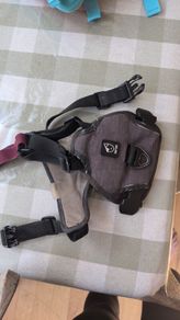 Adjustable Dog Harness