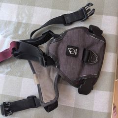 Adjustable Dog Harness