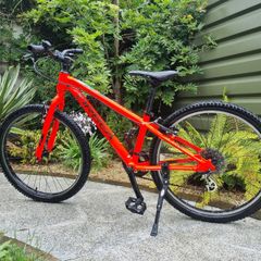 Orbea 20' Bike