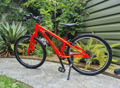 Orbea 20' Bike