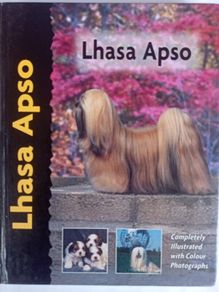 Lhasa Apso