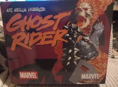 Marvel Art Asylum Presents: Ghost Rider