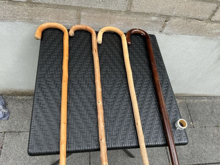 Walking sticks