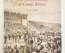 A Class Apart The Gentry Families of County Kildare - Kildare History Book