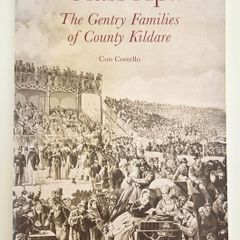 A Class Apart The Gentry Families of County Kildare - Kildare History Book