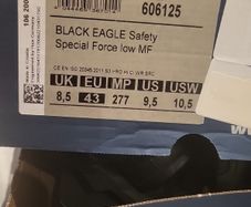 haix black eagle low boots