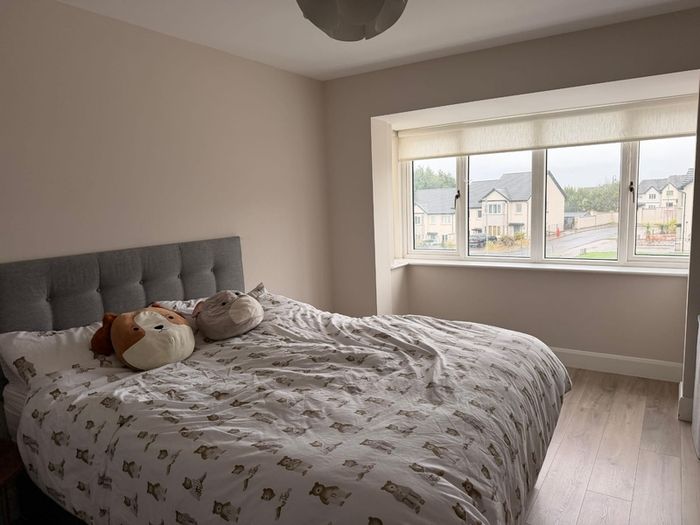 King size bed and mattress