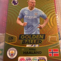 3 amazing golden ballers of the 2024 premier league season