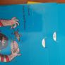 David Walliams audiobooks box set Image 4