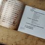 The Irish Language by Mairtin O Murchu Image 2