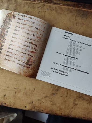 The Irish Language by Mairtin O Murchu