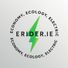 erider.ie