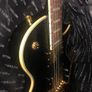 Ritter electric guitar case for Gibson fender Ibanez Jackson PRS charvel epiphone esp Image 6