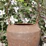 Antique  Cast Iron  Pot Image 9