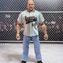 WWE Wrestling Figures - Individually Priced Image 4