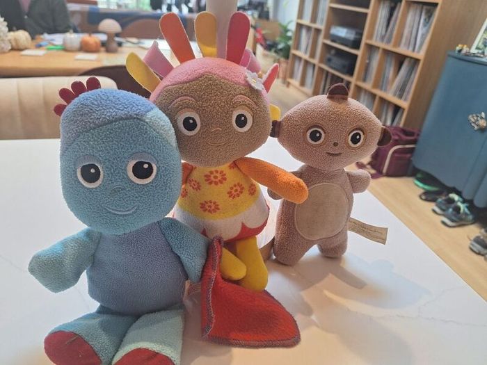 In the Night Garden