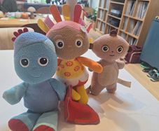 In the Night Garden