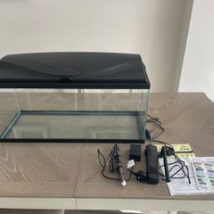 Fish Tank
