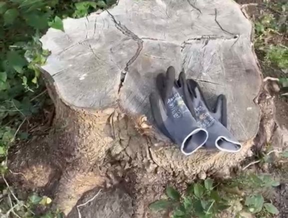 Stump removal