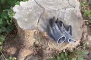 Stump removal