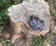Stump removal