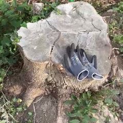 Stump removal