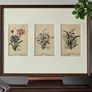 Pair of Framed Original Vintage Botanical Postcards 6 Cards 2 Frames Image 3