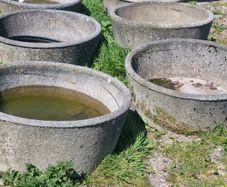 150 gallon water troughs