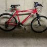 bike Image 2