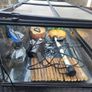 lizard tank Image 7