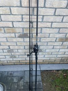 fishing rod carp/pike