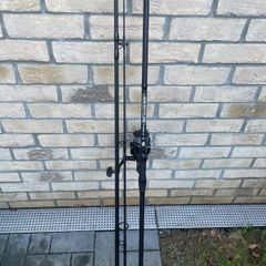 fishing rod carp/pike