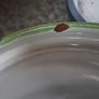 Vintage Terracotta kitchen Canister Set Image 10