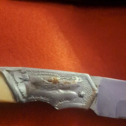 lock knife wolfhead decorative and bone handle