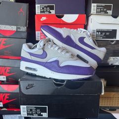 Nike Air Max 1 SC Field Purple DZ4549-101